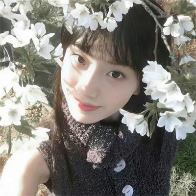 歌舞仙姬